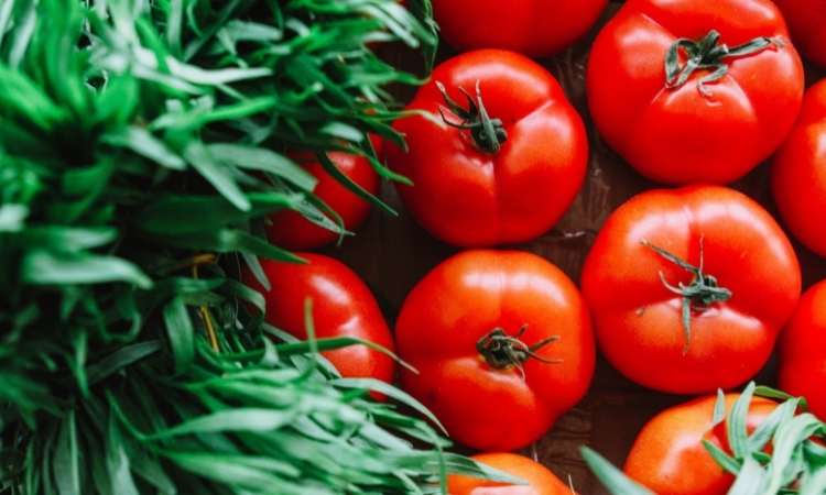 টমেটো খাওয়ার উপকারিতা